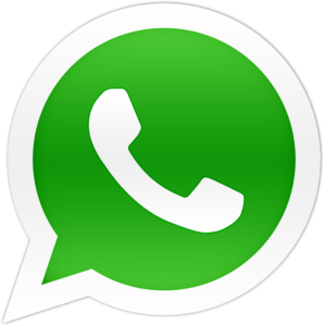 whatsapp icon logo